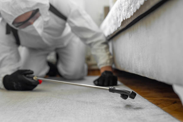 Professional Termite Control technician working in Brent, AL