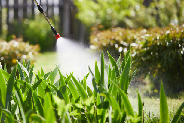 24/7 Emergency Termite Control experts in Brent, AL
